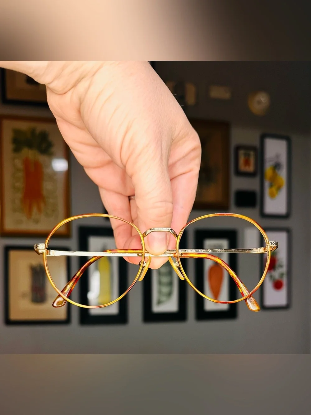 Polo Ralph Lauren Classic VI Copper Tortoise/Gold  Eyeglass FRAMES ONLY